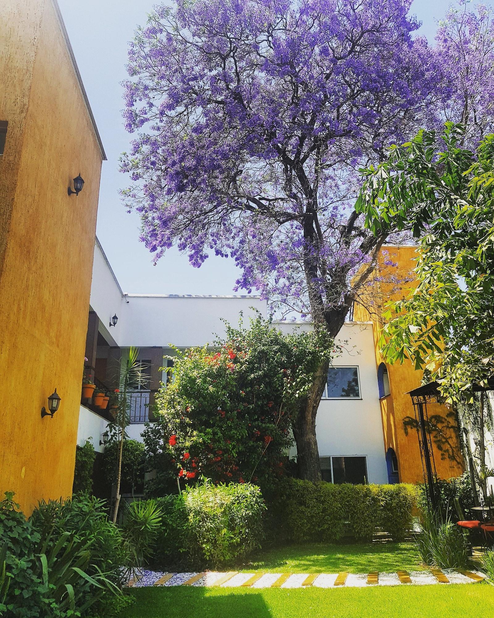 Hotel Quinta Lucca Querétaro Exterior foto